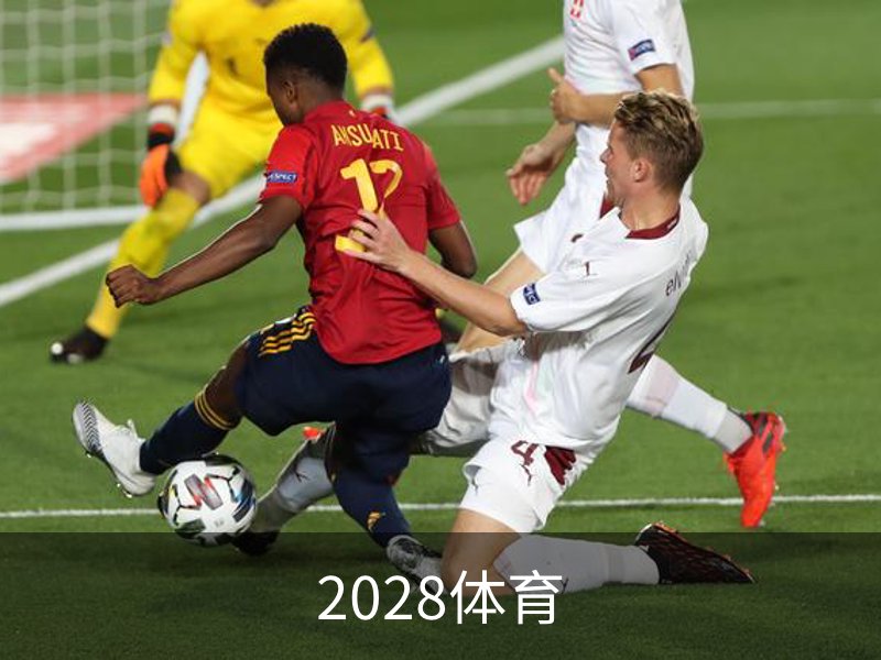 2028体育简介